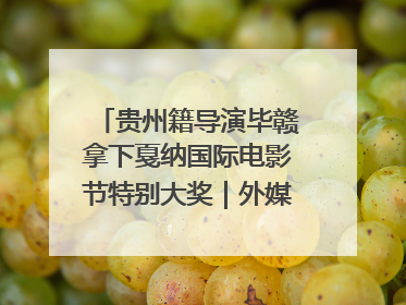 贵州籍导演毕赣拿下戛纳国际电影节特别大奖｜外媒点赞：奇妙而广阔的纯粹电影梦