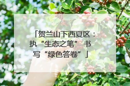贺兰山下西夏区：执“生态之笔” 书写“绿色答卷”