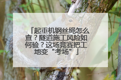 起重机钢丝绳怎么查？隧道施工风险如何验？这场竞赛把工地变“考场”