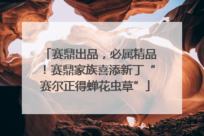 赛鼎出品，必属精品！赛鼎家族喜添新丁“赛尔正得蝉花虫草”