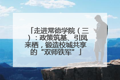 走进常德学院（三）：政策筑基、引凤来栖，锻造校城共享的“双师铁军”