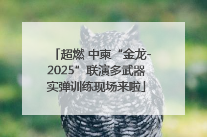 超燃 中柬“金龙-2025”联演多武器实弹训练现场来啦