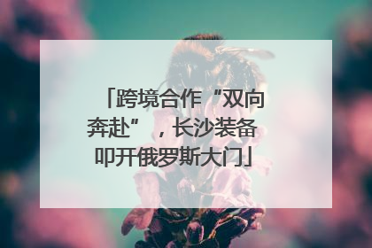 跨境合作“双向奔赴”，长沙装备叩开俄罗斯大门