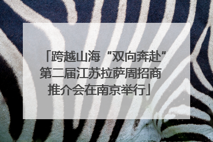 跨越山海“双向奔赴” 第二届江苏拉萨周招商推介会在南京举行