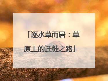 逐水草而居：草原上的迁徙之路