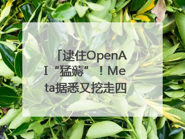逮住OpenAI“猛薅”！Meta据悉又挖走四位知名研究人员