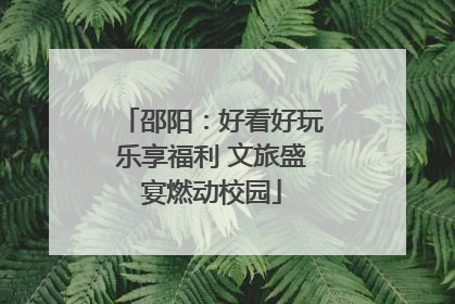 邵阳：好看好玩乐享福利 文旅盛宴燃动校园
