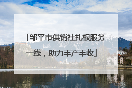 邹平市供销社扎根服务一线，助力丰产丰收