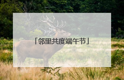 邻里共度端午节