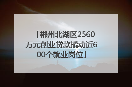 郴州北湖区2560万元创业贷款撬动近600个就业岗位
