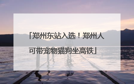 郑州东站入选！郑州人可带宠物猫狗坐高铁