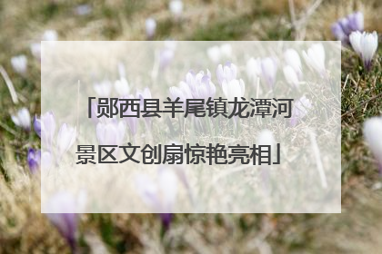 郧西县羊尾镇龙潭河景区文创扇惊艳亮相