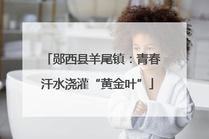 郧西县羊尾镇：青春汗水浇灌“黄金叶”