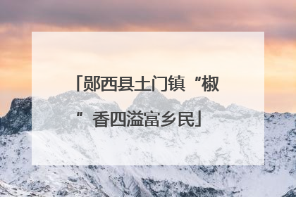 郧西县土门镇“椒”香四溢富乡民