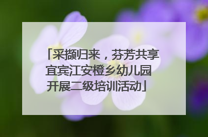 采撷归来，芬芳共享 宜宾江安橙乡幼儿园开展二级培训活动