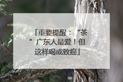 重要提醒：“茶”广东人最爱！但这样喝或致癌