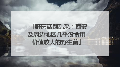 野蘑菇别乱采：西安及周边地区几乎没食用价值较大的野生菌