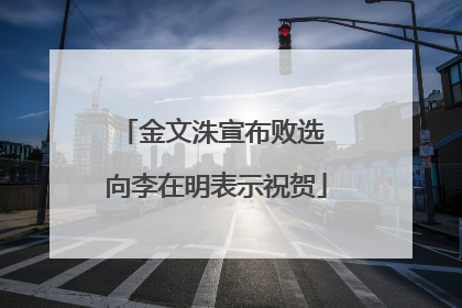 金文洙宣布败选 向李在明表示祝贺