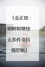 金正恩：朝鲜将继续无条件支持俄罗斯