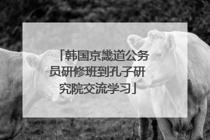 韩国京畿道公务员研修班到孔子研究院交流学习