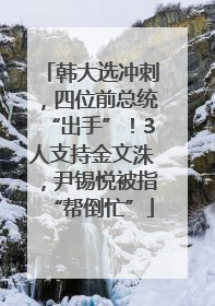 韩大选冲刺，四位前总统“出手”！3人支持金文洙，尹锡悦被指“帮倒忙”