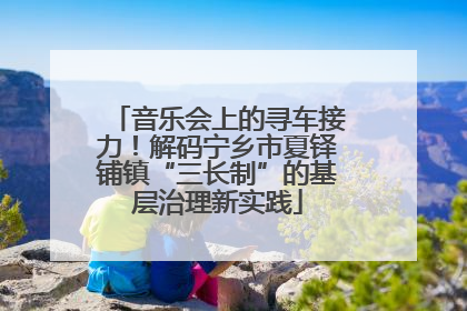 音乐会上的寻车接力！解码宁乡市夏铎铺镇“三长制”的基层治理新实践