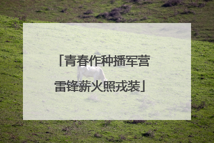青春作种播军营 雷锋薪火照戎装