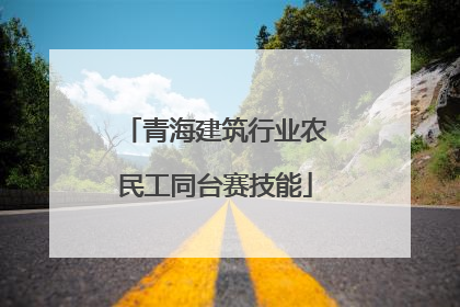 青海建筑行业农民工同台赛技能