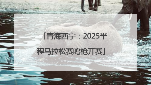 青海西宁：2025半程马拉松赛鸣枪开赛