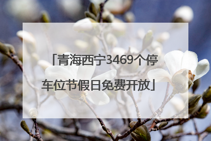青海西宁3469个停车位节假日免费开放