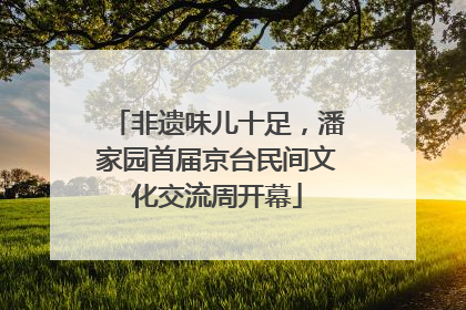 非遗味儿十足，潘家园首届京台民间文化交流周开幕
