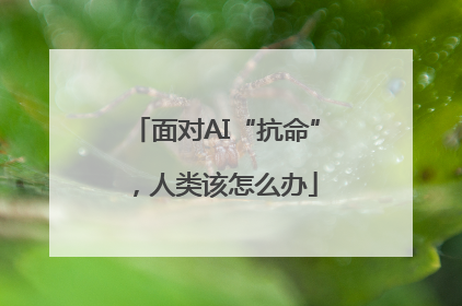 面对AI“抗命”，人类该怎么办