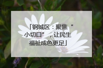 钢城区：聚焦“小切口”，让民生福祉成色更足