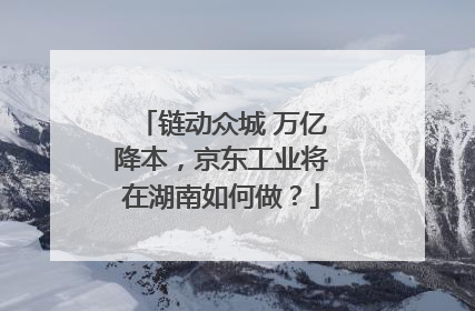 链动众城 万亿降本，京东工业将在湖南如何做？