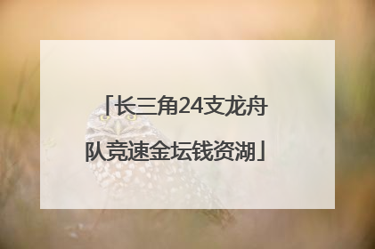 长三角24支龙舟队竞速金坛钱资湖