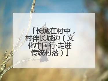 长城在村中，村伴长城边（文化中国行·走进传统村落）