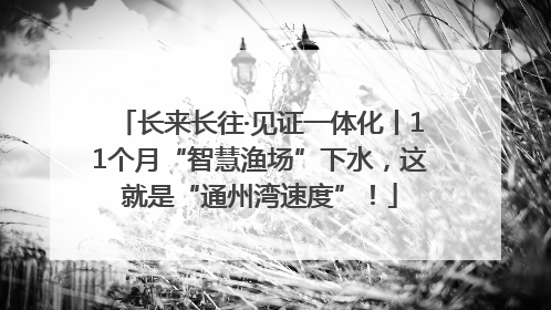 长来长往·见证一体化丨11个月“智慧渔场”下水，这就是“通州湾速度”！