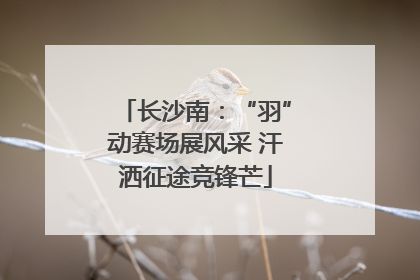 长沙南：“羽”动赛场展风采 汗洒征途竞锋芒