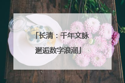长清：千年文脉邂逅数字浪潮