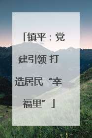 镇平：党建引领 打造居民“幸福里”