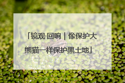 镜观·回响｜像保护大熊猫一样保护黑土地