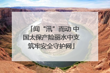 闻“汛”而动 中国太保产险丽水中支筑牢安全守护网