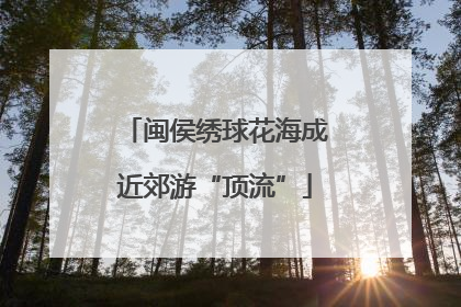 闽侯绣球花海成近郊游“顶流”