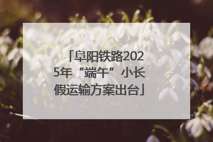 阜阳铁路2025年“端午”小长假运输方案出台