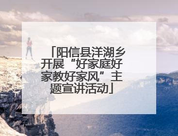 阳信县洋湖乡开展“好家庭好家教好家风”主题宣讲活动