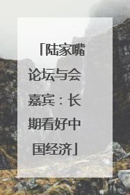 陆家嘴论坛与会嘉宾：长期看好中国经济