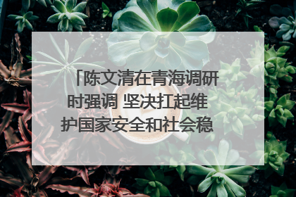 陈文清在青海调研时强调 坚决扛起维护国家安全和社会稳定职责使命 为谱写中国式现代化青海篇章贡献政法力量