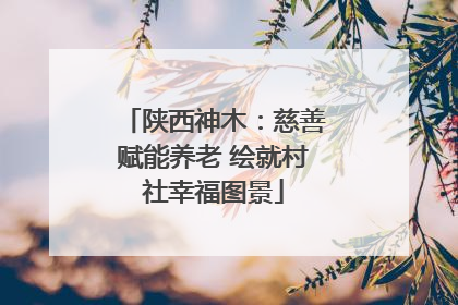 陕西神木：慈善赋能养老 绘就村社幸福图景