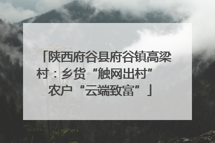 陕西府谷县府谷镇高梁村：乡货“触网出村” 农户“云端致富”