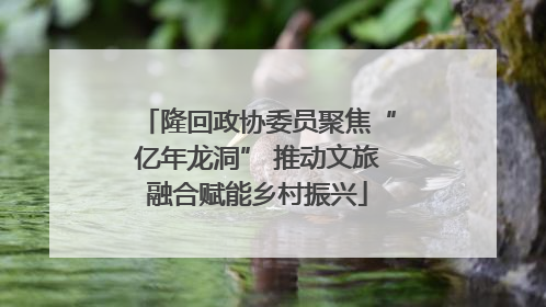 隆回政协委员聚焦“亿年龙洞” 推动文旅融合赋能乡村振兴